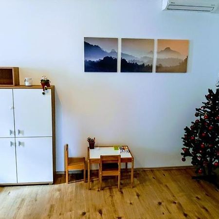 Zoe Apartment Maribor Bagian luar foto